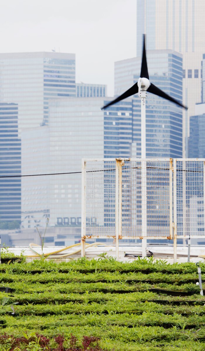 Energia renovável verde e agricultura urbana