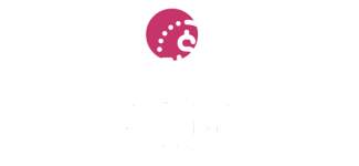 GUEPARDO Cash Application_