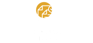 GUEPARDO E-invoicing_