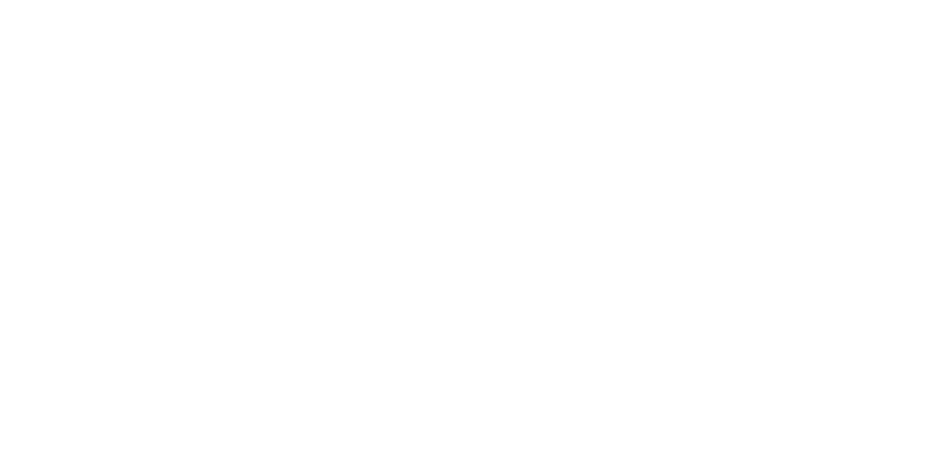 GUEPARDO